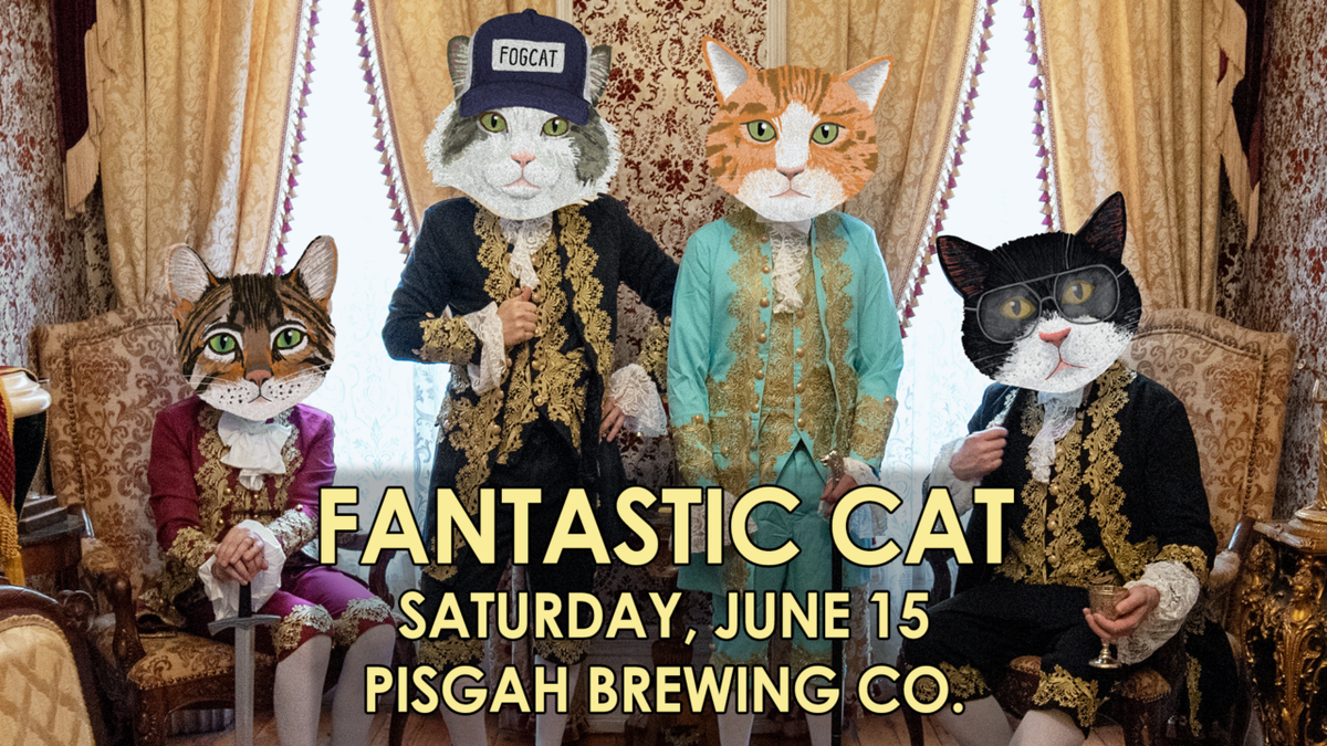 Fantastic Cat, 13 December | Event in North Dartmouth | AllEvents