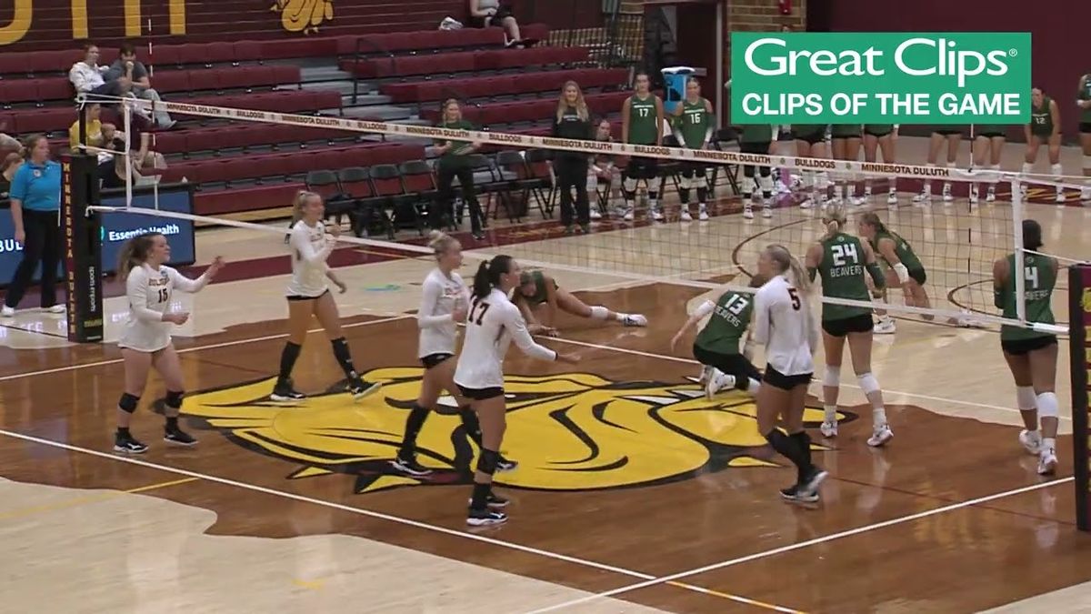 UMD Women's Hockey v. Bemidji State at AMSOIL Arena, 6 February | Event in Duluth | AllEvents