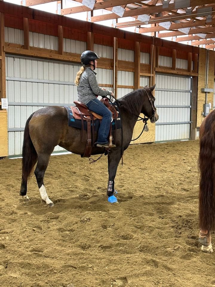 How to keep your horses attention focused on YOU!, KW Equestrian
