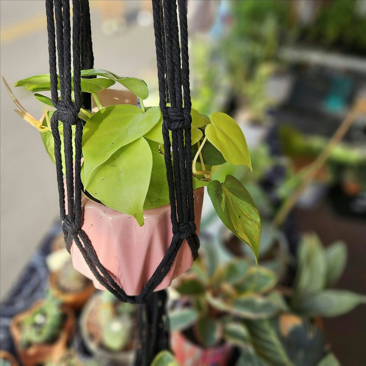 Beginner Macrame Class, 11 December | Event in Greeley | AllEvents