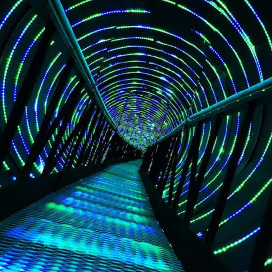 Skip the Line: Odyssey Sensory Maze Entry Auckland | Event in Auckland | AllEvents