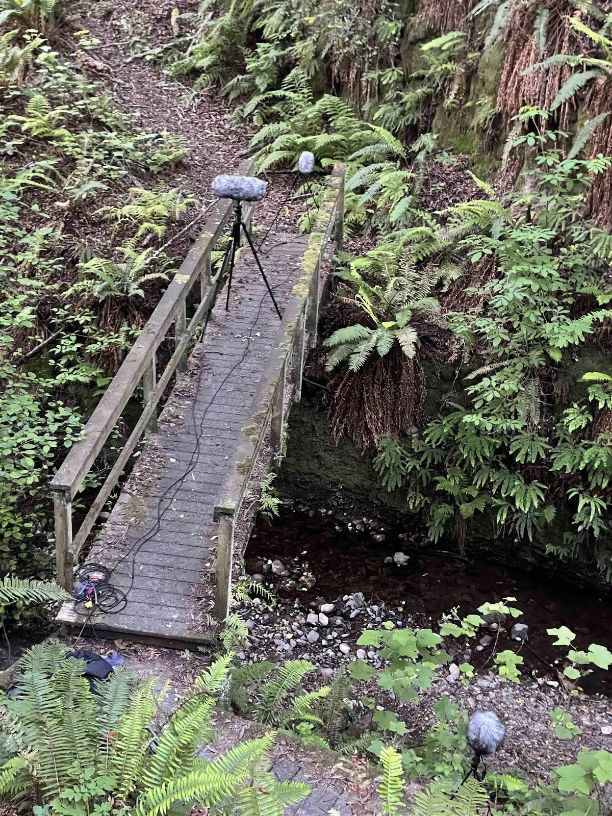 Listening with Point Reyes, 10 January | Event in Point Reyes Station | AllEvents