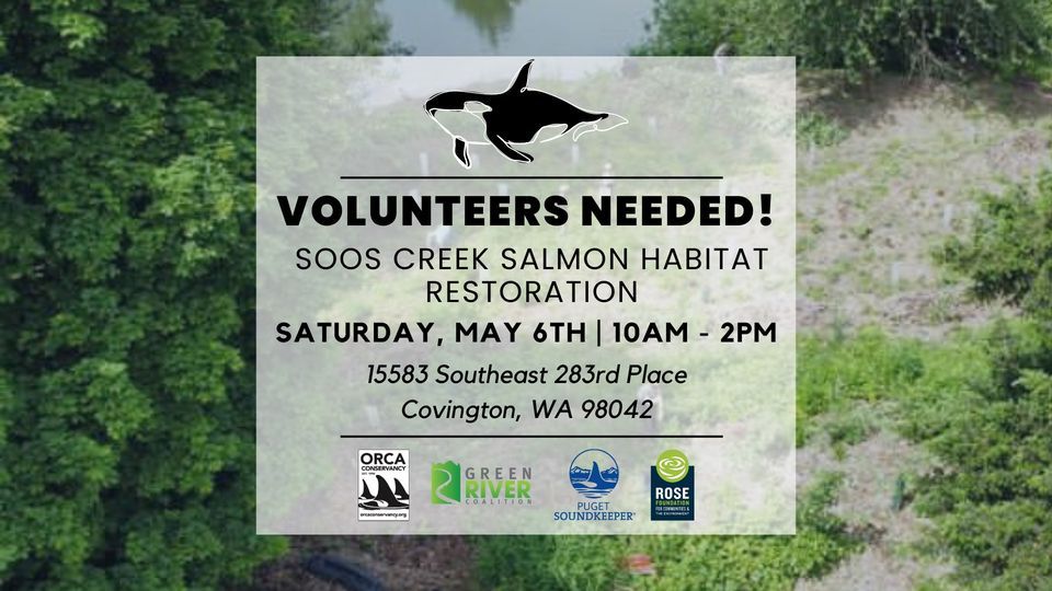 Salmon Habitat Restoration, 15583 Southeast 283rd Place Covington, WA