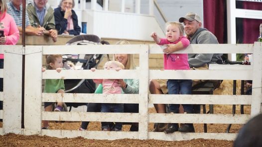 Hardin County Fair Hardin County Fair Kenton September 7 To September 12 Allevents In Hardin County Fair 2022