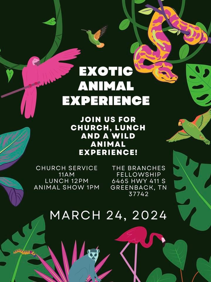 Exotic Animal Experience , 6465 HWY 411 S., Greenback, TN, 24 March