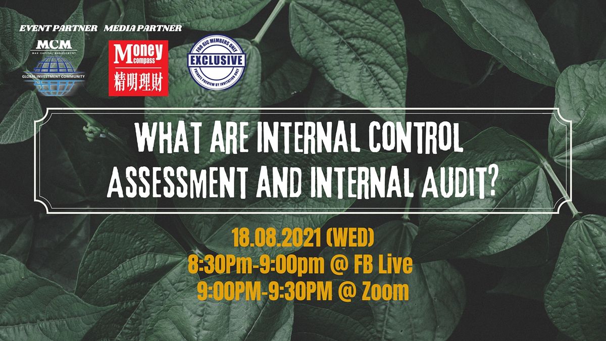 What Are Internal Control Assessment And Internal Audit August 18 