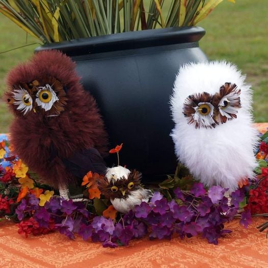 Cooper River Events List Of All Upcoming Cooper River Events In Cherry Hill Cooper River Park Events 2022