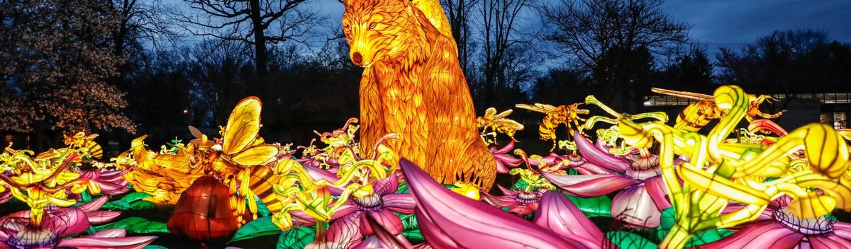 Lake County Captains at Wisconsin Timber Rattlers at Neuroscience Group Field at Fox Cities Stadium, 18 August