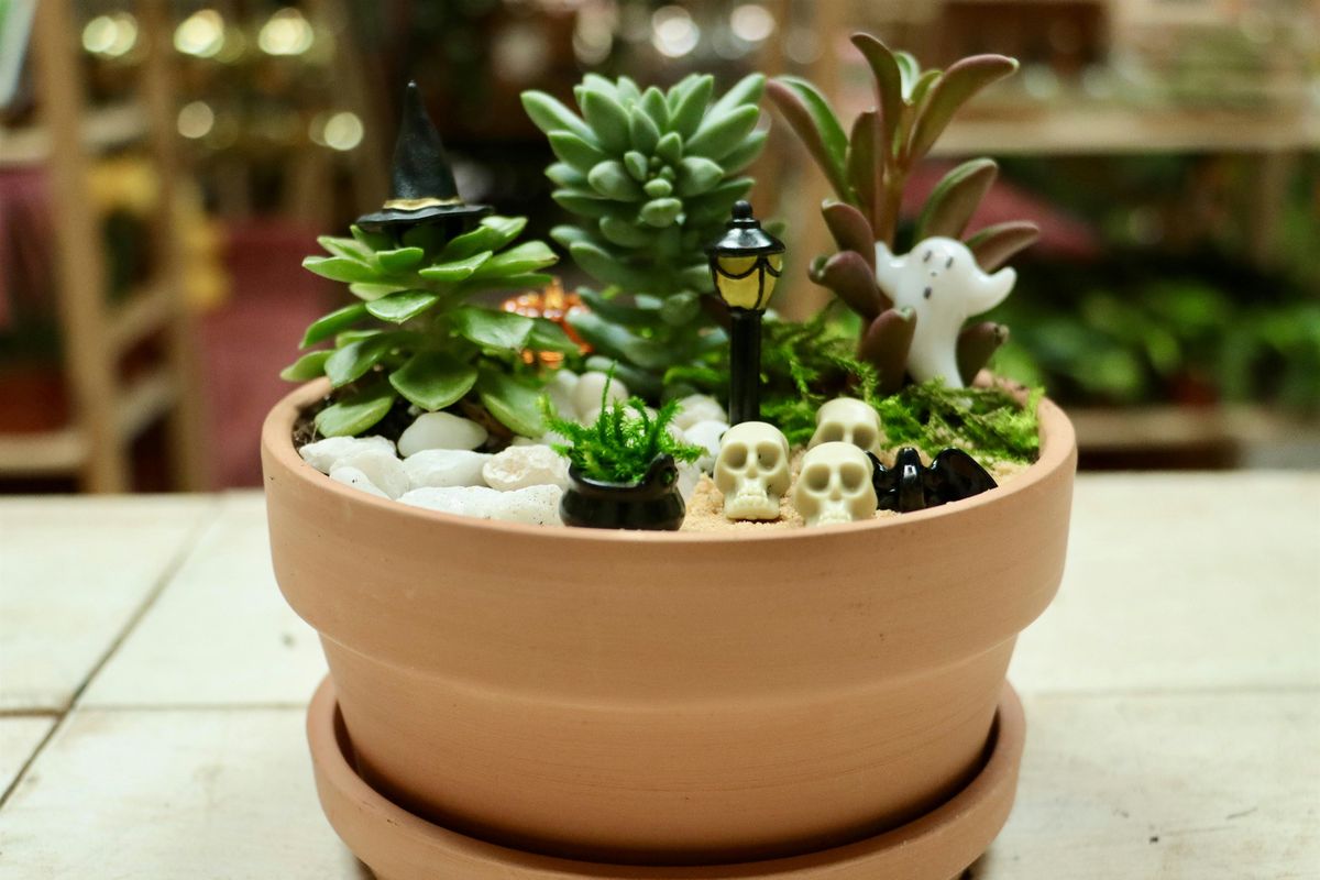 Spooky Succulent Garden Workshop, 403 Augusta St, Greenville, 14 ...