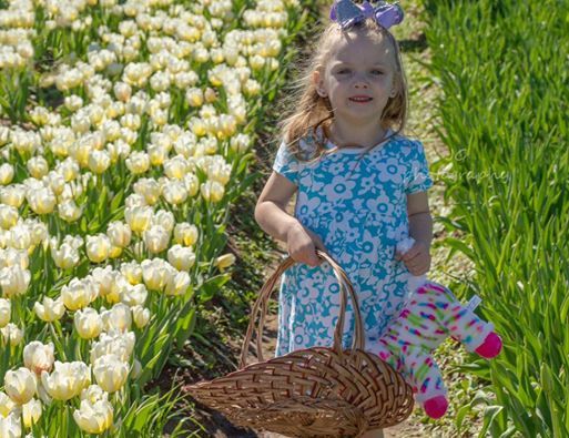 Tiptoe Through The Tulips At Texas Tulips San Antonio La Vernia