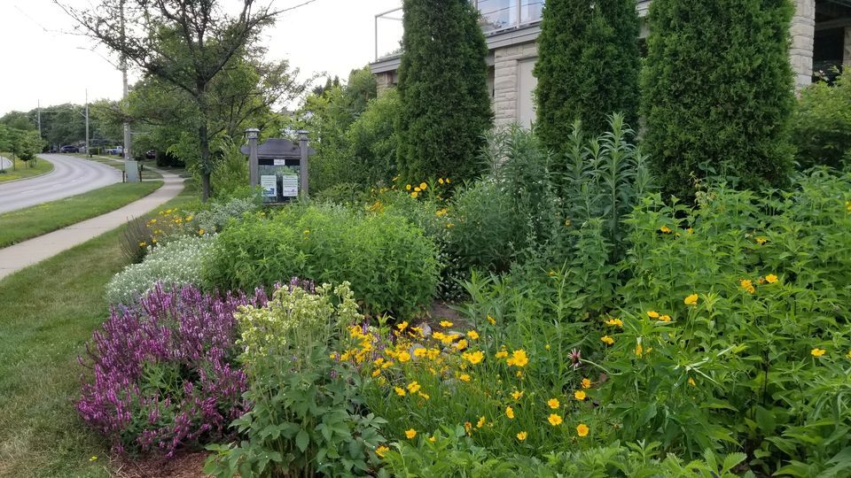 Celebrate the 10th Anniversary of the Gosling Pollinator Gardens with