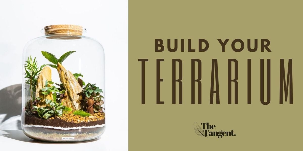 Build Your Own Terrarium, 27 July | Event in Pune | AllEvents