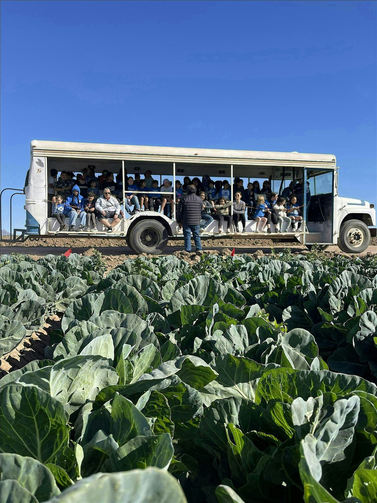 Fiesta at the Farm ~ UofA Farm Tour, 3 December | Event in Yuma | AllEvents