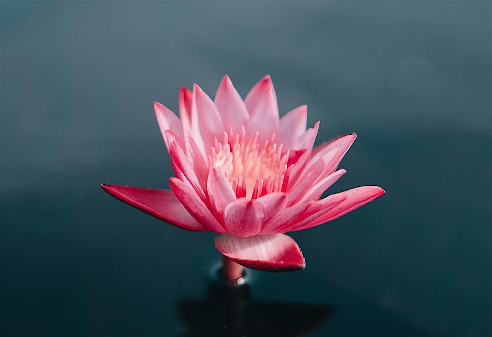 Nonduality and Meditation II [Winter], 14 January | Event in Waltham | AllEvents