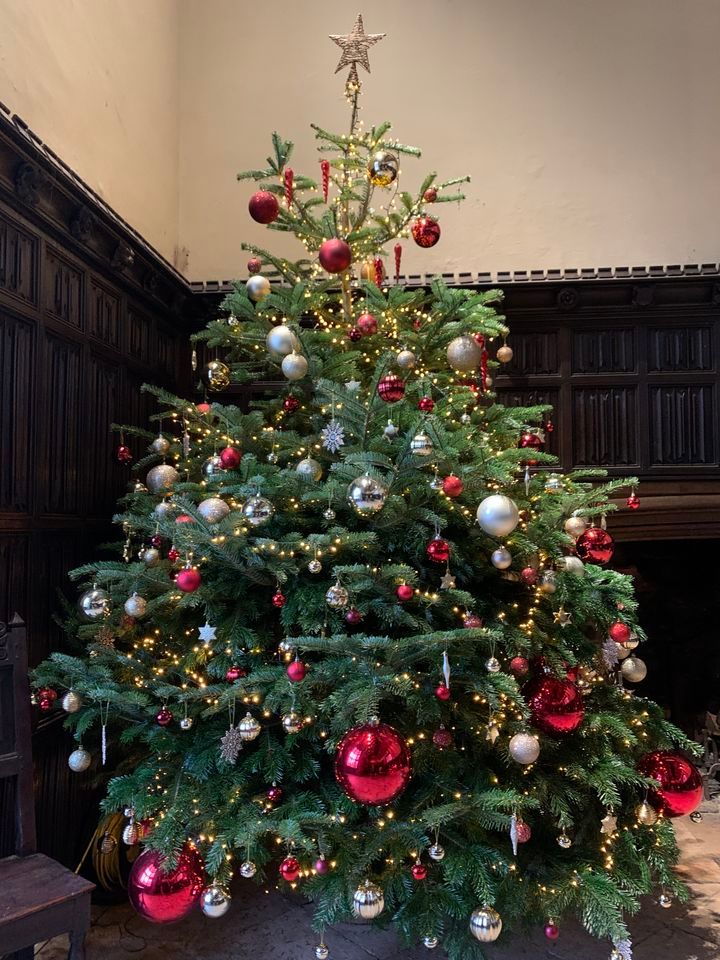 Christmas Afternoon Tea with Tour , Athelhampton House, Blandford Forum