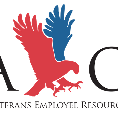 VALOR - COSD ERG