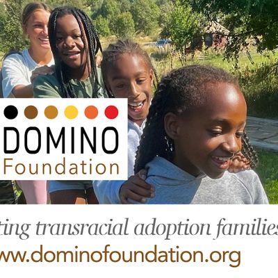 The Domino Foundation logo