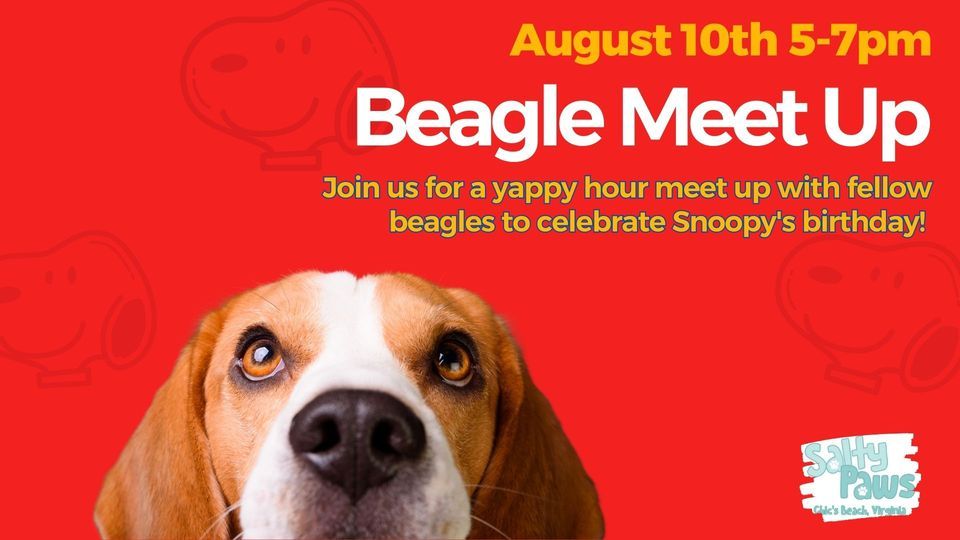Beagle Meet Up, Salty Paws Chics Beach, Virginia Beach, August 10 2023