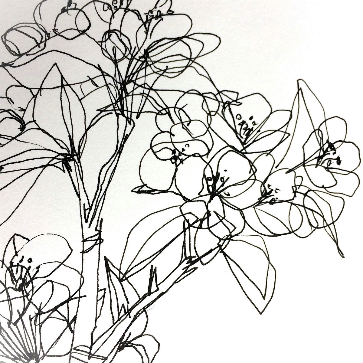 Art Time! Look-See-Draw