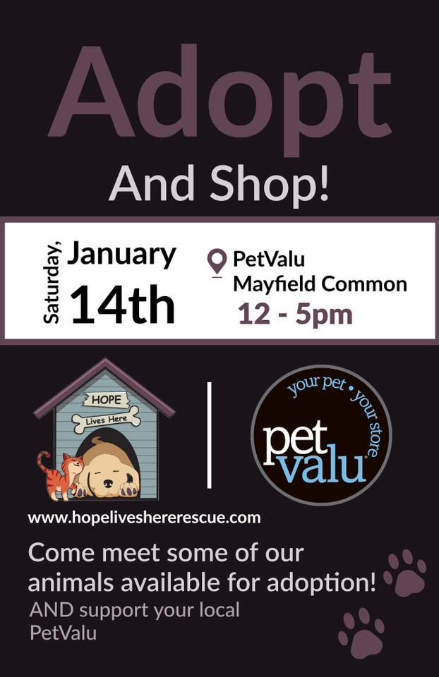 Adopt and Shop Adoption Event, Pet Valu (Edmonton,AB Mayfield