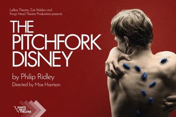 The Pitchfork Disney, 27 August | Event in London | AllEvents