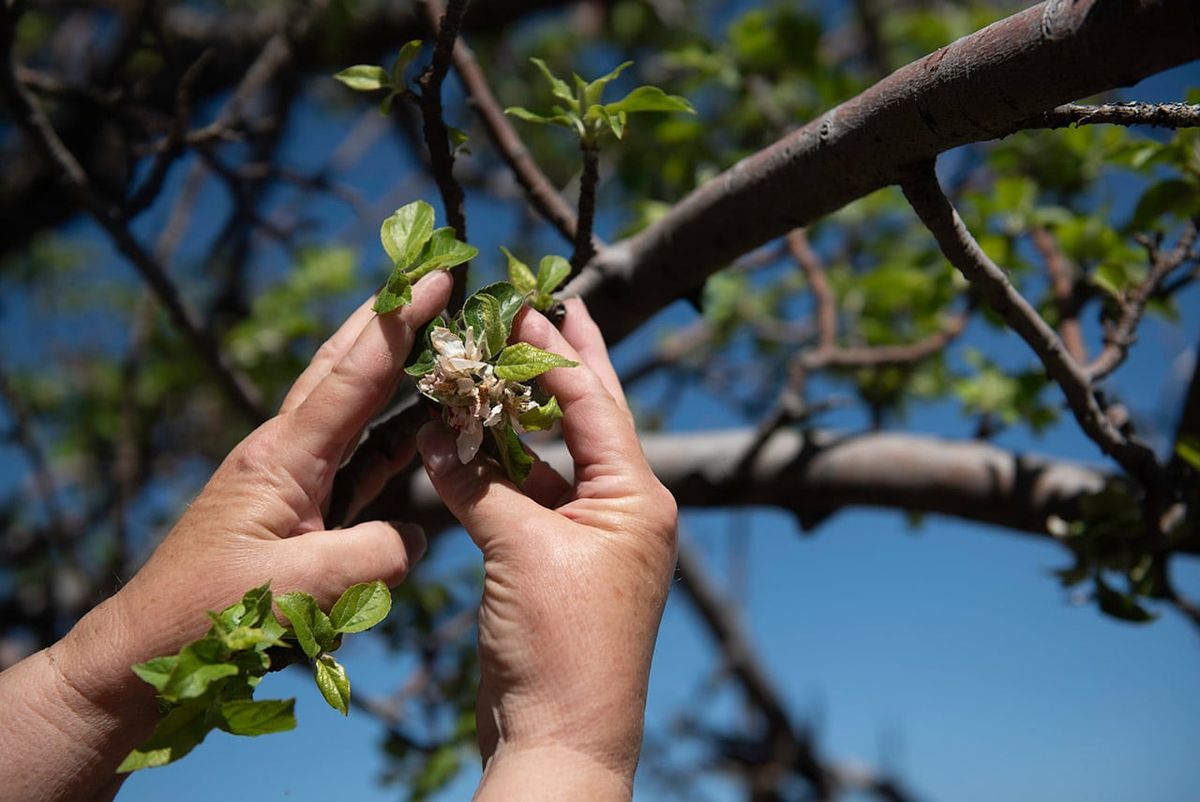 Burritos & Lively Up - Tributes to Sublime and Bob Marley | Event in Garden Grove | AllEvents