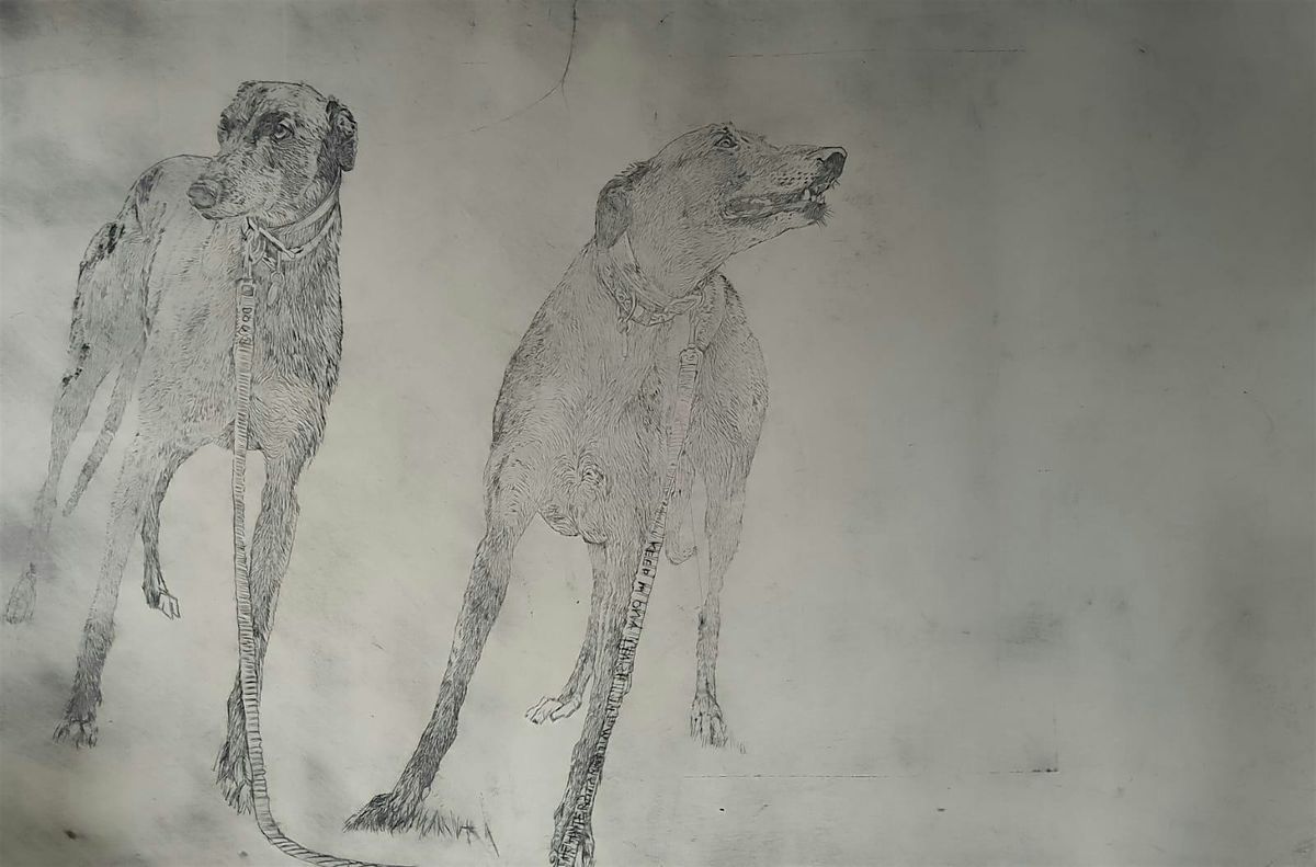 6 Week drawing Introduction, 3 January | Event in Worcester | AllEvents