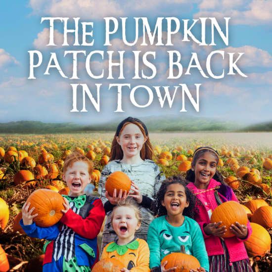 Pumpkin Patch At Hobbledown West London, 26 September | Event in Feltham | AllEvents