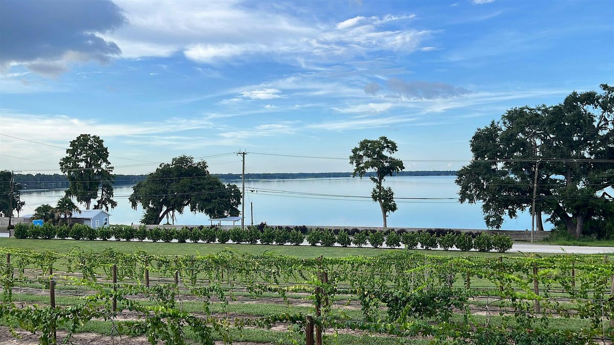 Merry Little Mat Pilates & Wine Tasting at The Osprey View, 18 December | Event in Thonotosassa | AllEvents