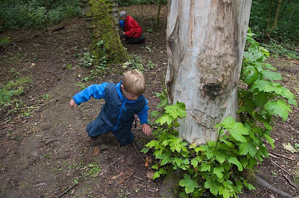 NWT Sweet Briar Marshes: Treemendous trees half-term family event, 19 February | Event in Norwich | AllEvents