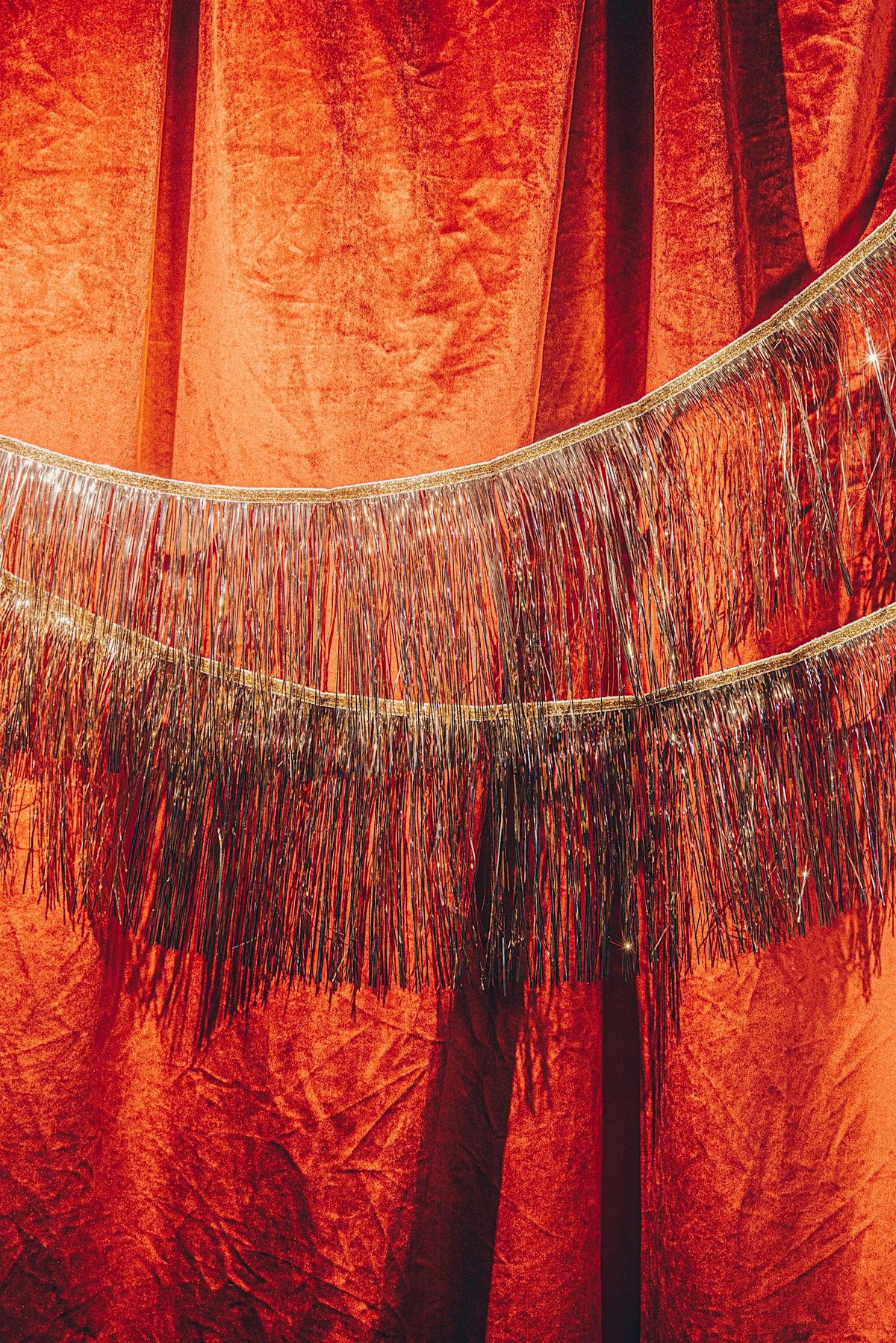 Lucky Bastard Distillers & Saskatoon Dog Rescue Photos with Santa, 14 December | Event in Saskatoon | AllEvents