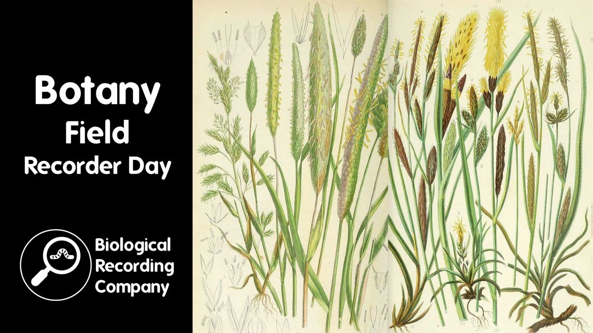 Botany Field Recorder Day, 24 June | Event in London | AllEvents