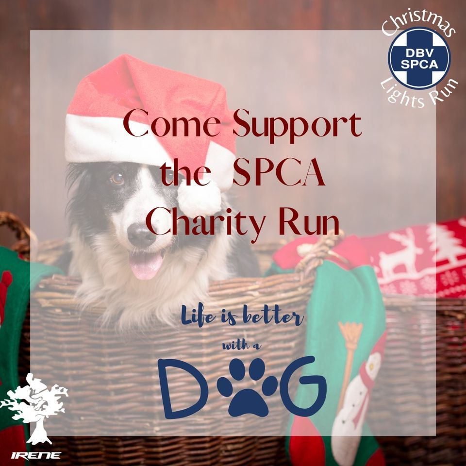 Irene Lights Christmas Run, Jan Cilliers Park, Pretoria, December 8