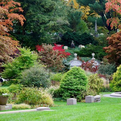 Mount Auburn Cemetery logo