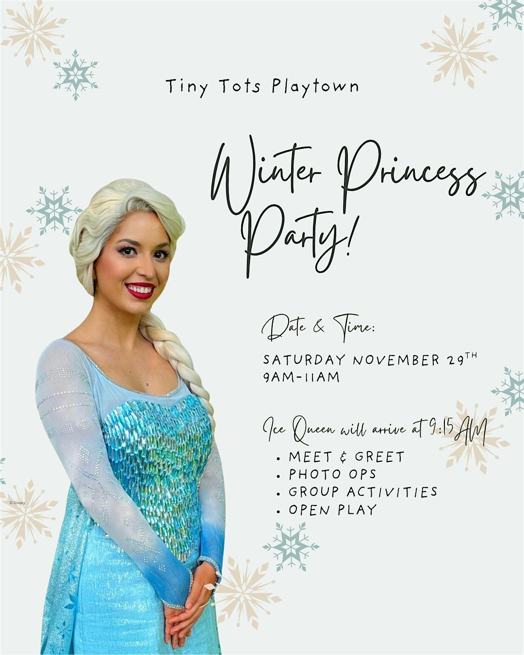 Winter Princess Party | Tiny Tots Playtown, 29 November | Event in Lutz | AllEvents