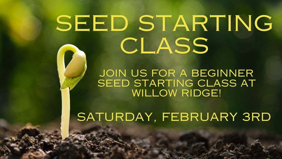 Seed Starting Class, Willow Ridge Garden Center & Landscaping, Oak