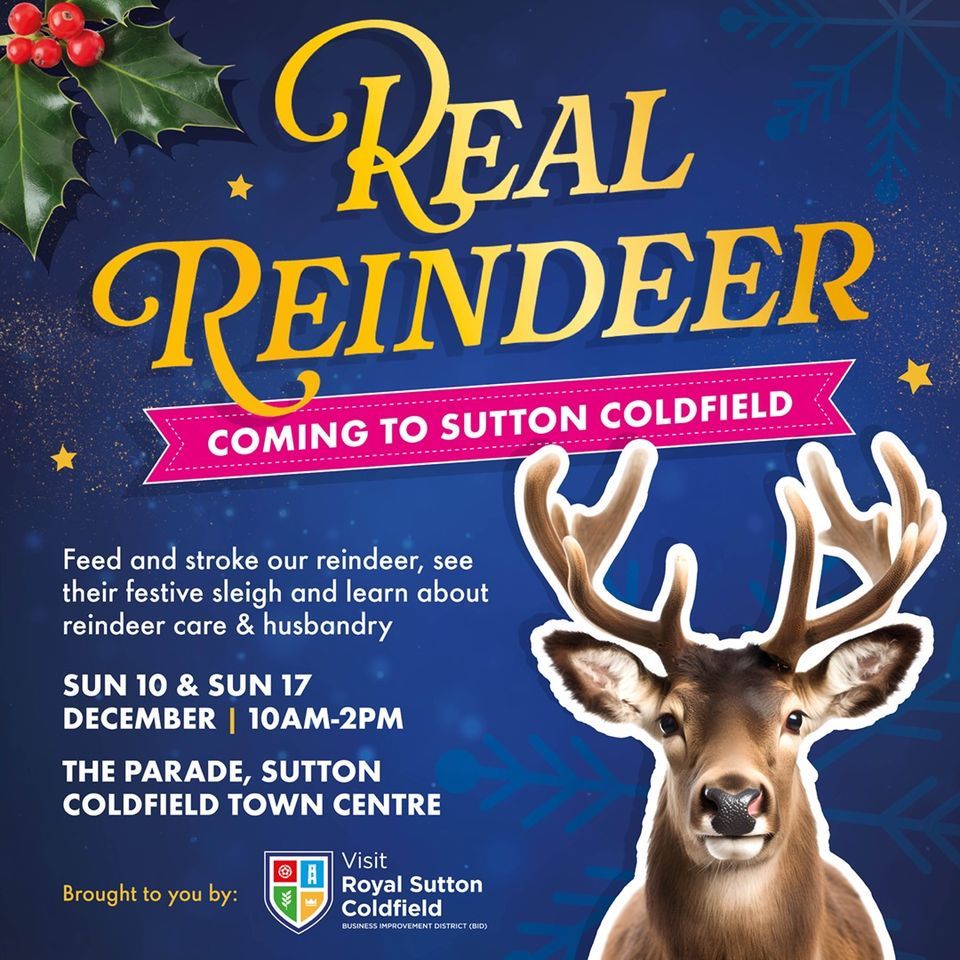 See & Feed Real Reindeer , The Parade, Sutton Coldfield, Marston Green