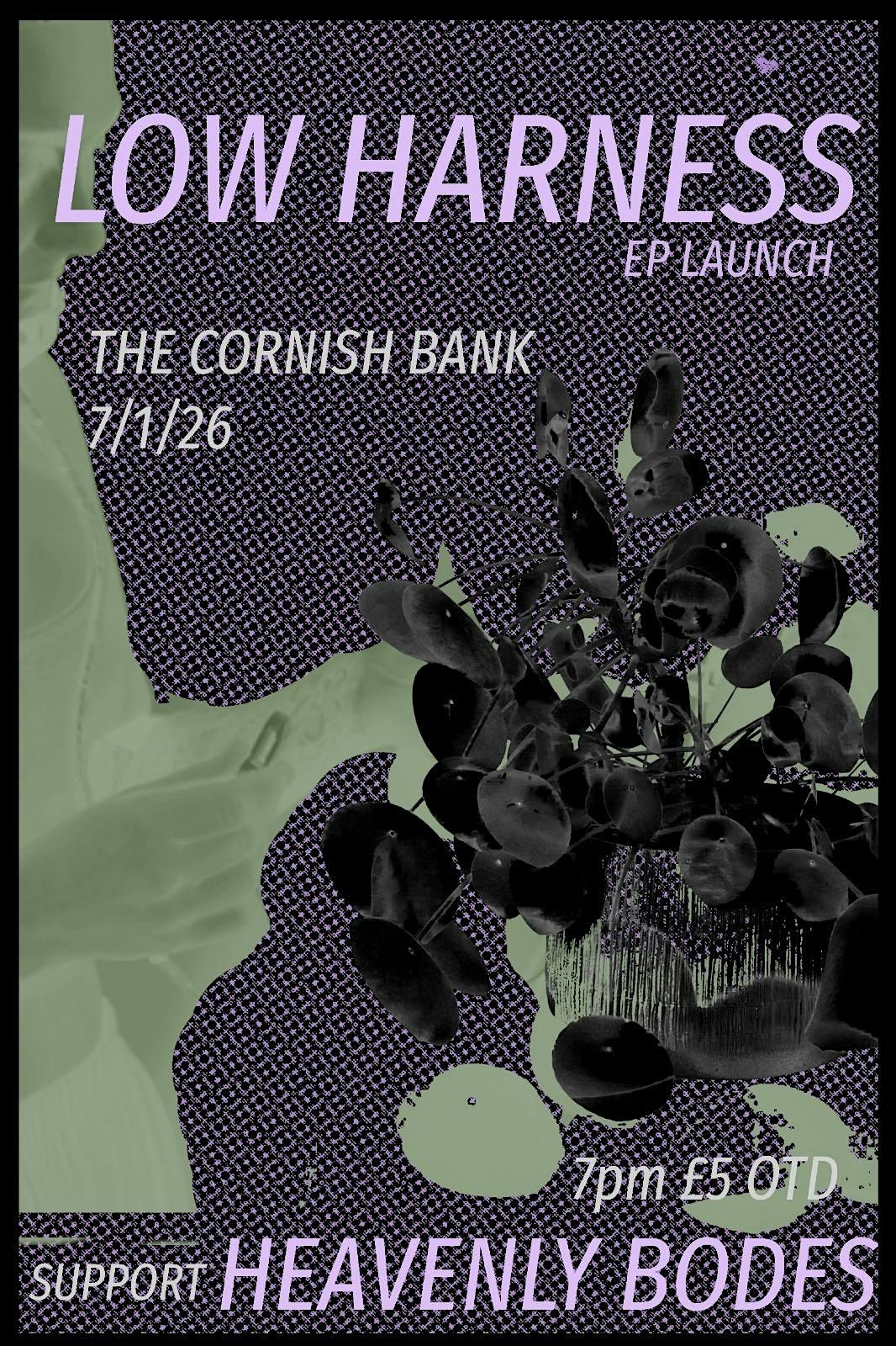 LOW HARNESS w/ HEAVENLY BODES