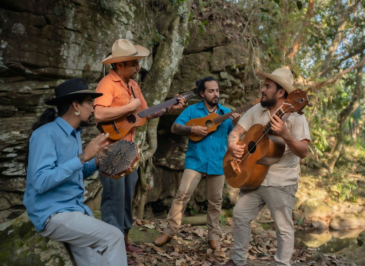 Manguito con chile: Son jarocho de nueva creación, 19 December | Event in Xalapa-Enríquez | AllEvents