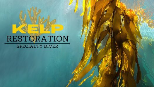 Things To Do In Monterey This Weekend August 20 22 2021 Monterey Events December 2022