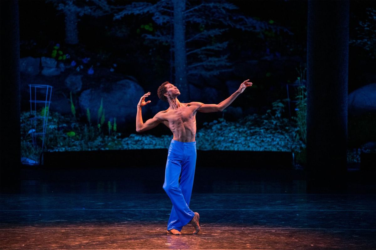 International Evenings of Dance III, 1 August | Event in Vail | AllEvents