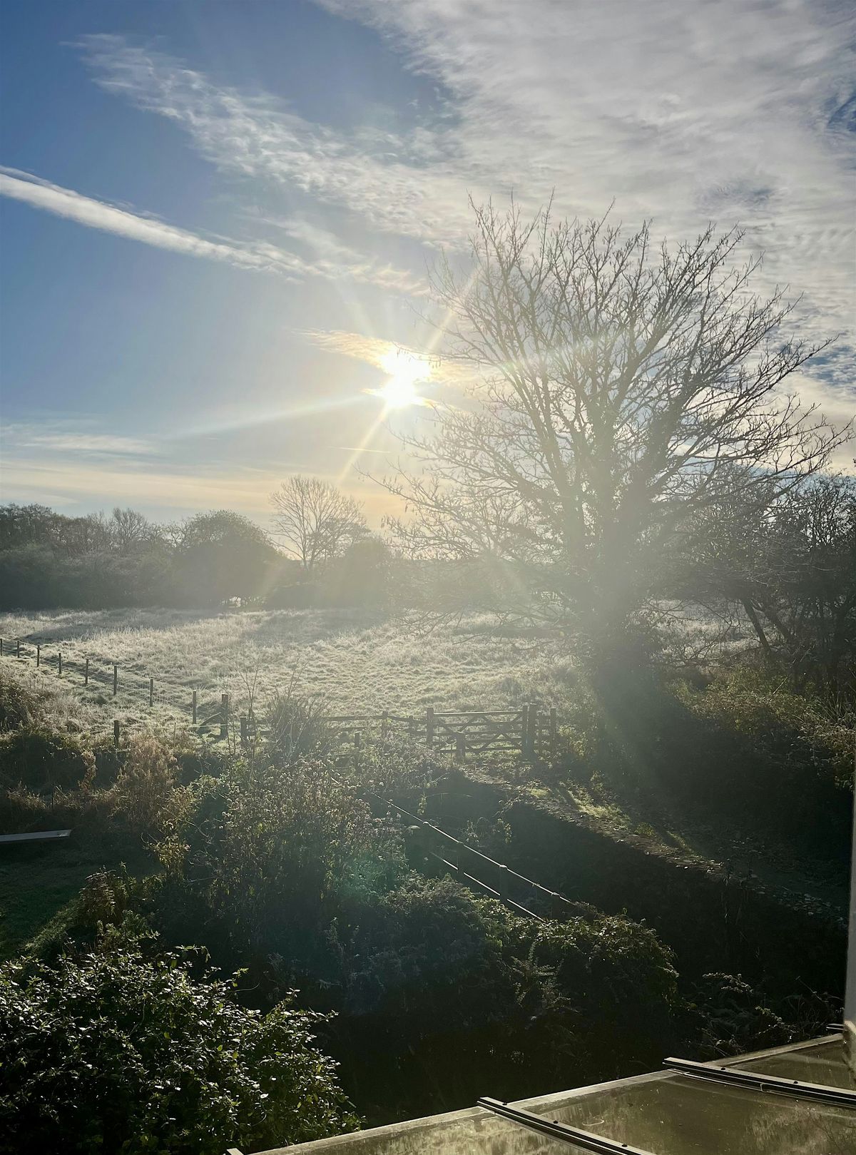 Winter Wonders Walk with Marshmallows & Hot Chocolate – February Half Term, 20 February | Event in Toller Porcorum