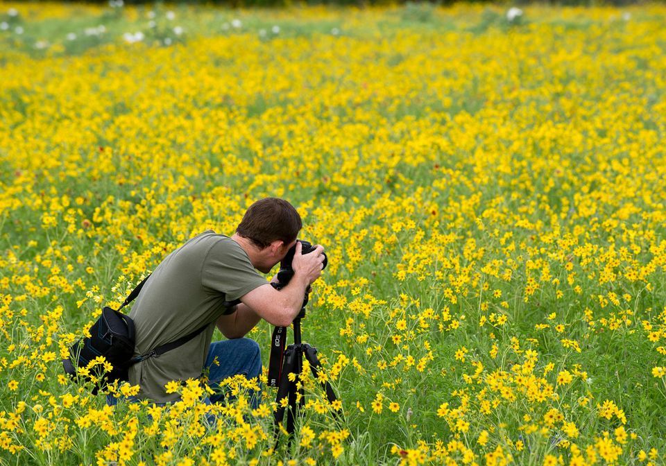 Ray Roberts Lake State Park Photo Contest 100 Years Edition, Ray