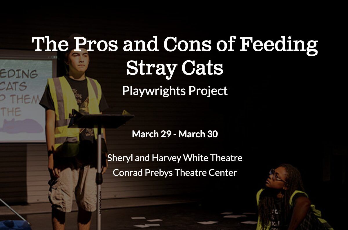 Parking Stray Cats, 19 November | Event in Highland | AllEvents