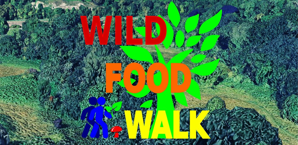 December Sea Mills (Bristol) Wild Food Foraging/ Forager Walk., 20 December | Event in Bristol | AllEvents