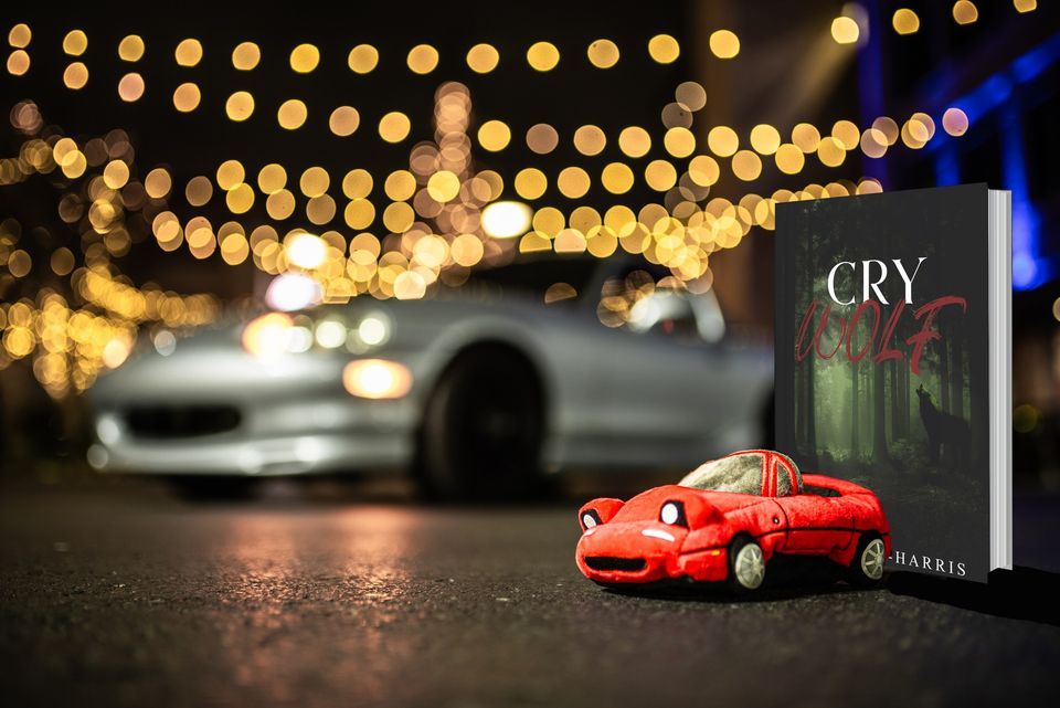 Launch Party Car Meet, Fountains at Gateway, Murfreesboro, 27 January