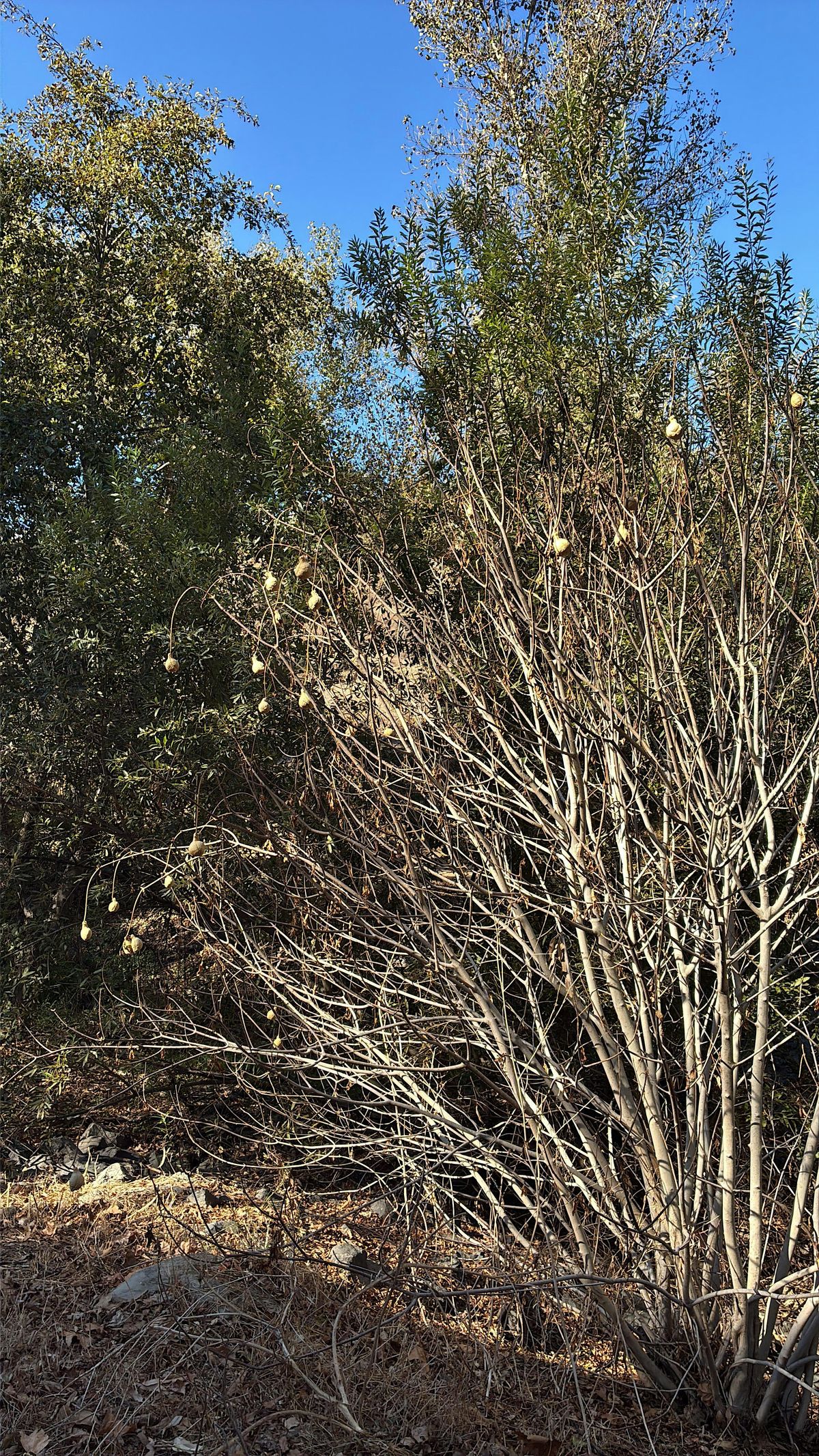 Read, Hike and Connect: NFY Outdoor Book Club November Meeting