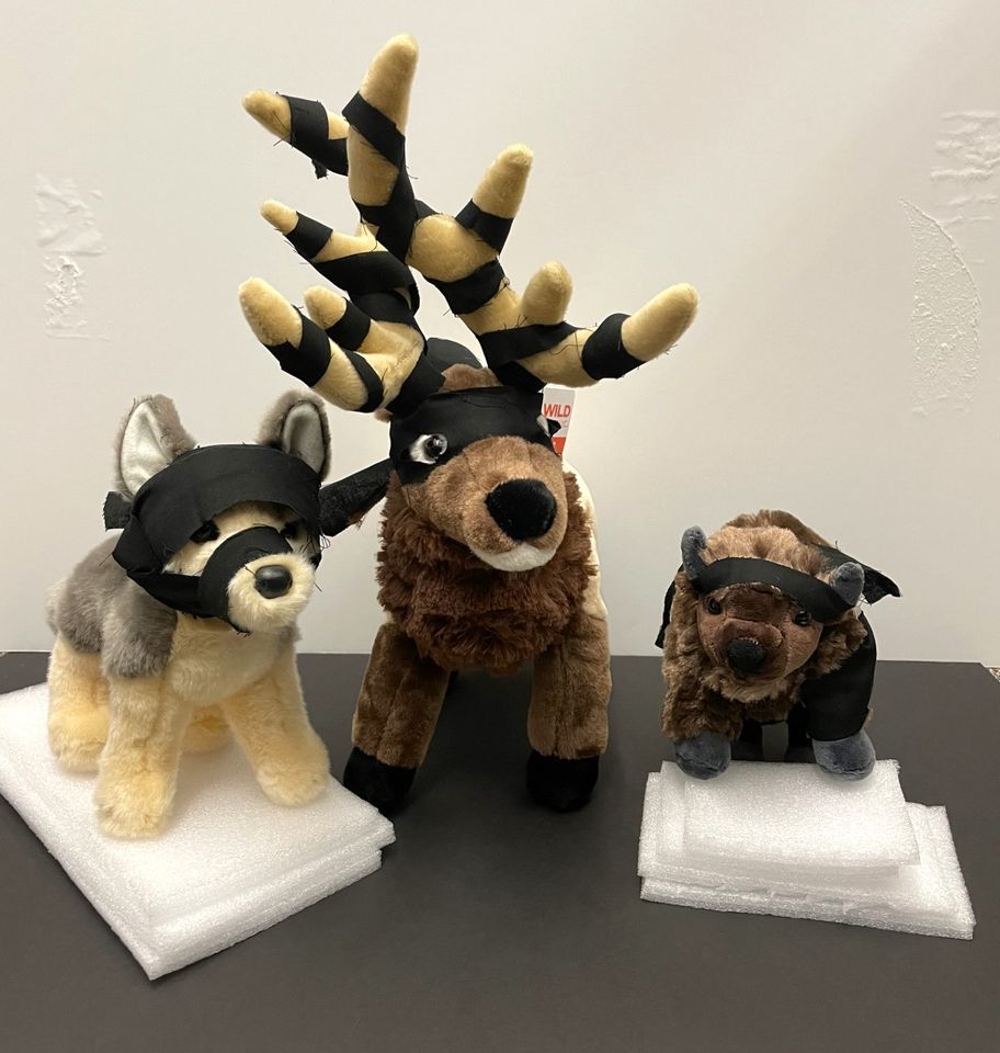 International Ninja Day Scavenger Hunt, Neal Smith National Wildlife