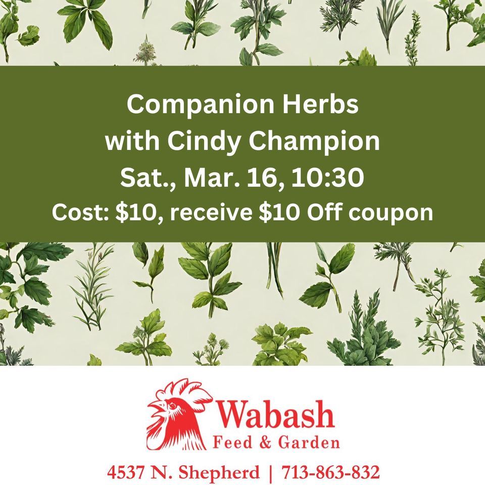 Companion Herbs with Cindy Champion, 4537 North Shepherd Drive, Houston