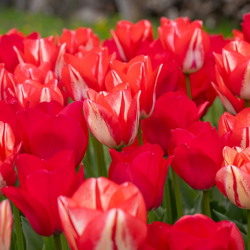Spring Vintage Festival, 16 May | Event in Elkhart Lake | AllEvents